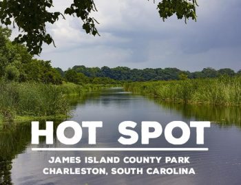 Hot Spot-James Island_Blog-min