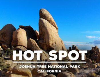Hot Spot_Joshua Tree