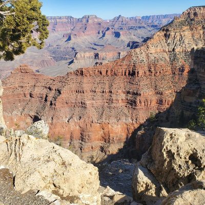 Steiner Action Shot 3 (1)