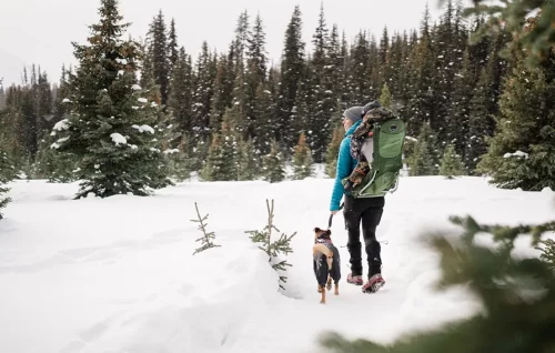 winter-family-hike-in-banff-dom-carson